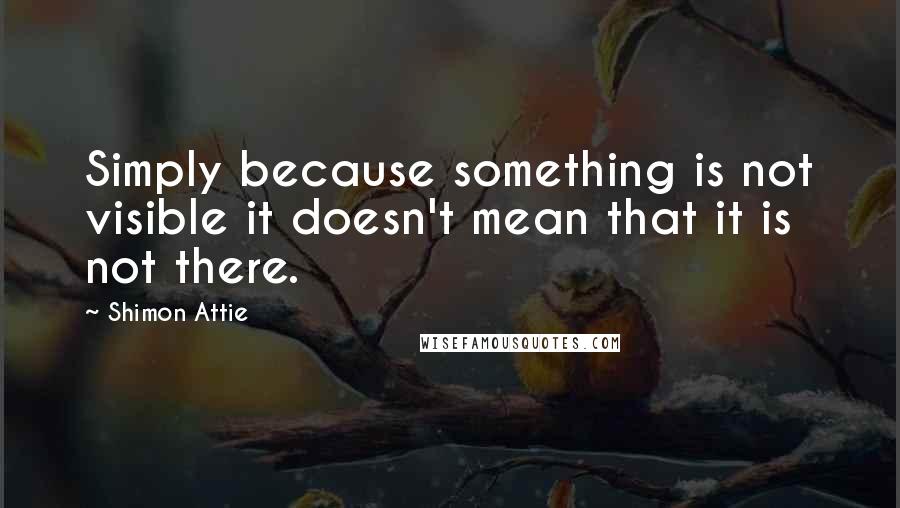 Shimon Attie Quotes: Simply because something is not visible it doesn't mean that it is not there.