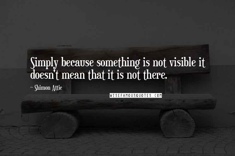 Shimon Attie Quotes: Simply because something is not visible it doesn't mean that it is not there.