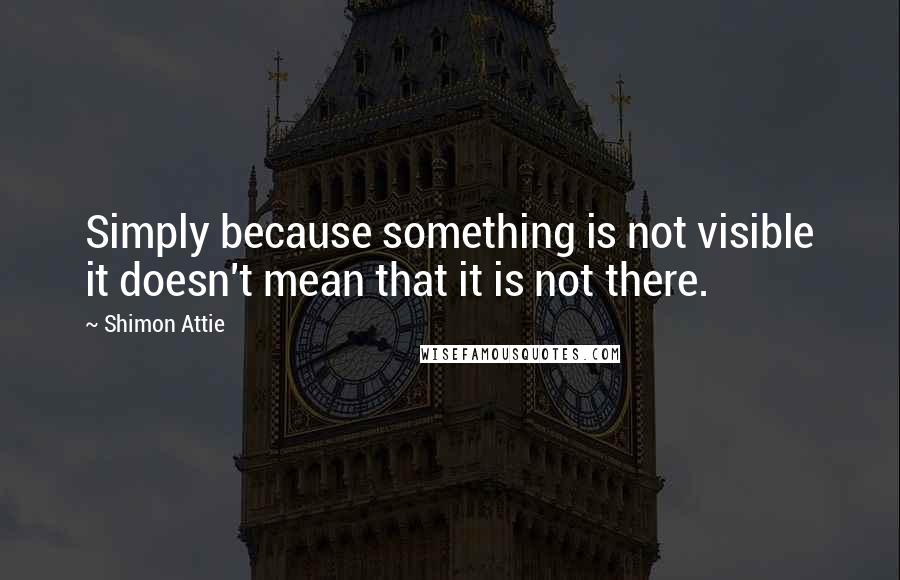 Shimon Attie Quotes: Simply because something is not visible it doesn't mean that it is not there.