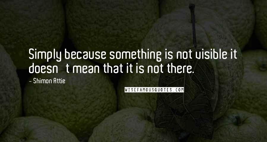 Shimon Attie Quotes: Simply because something is not visible it doesn't mean that it is not there.