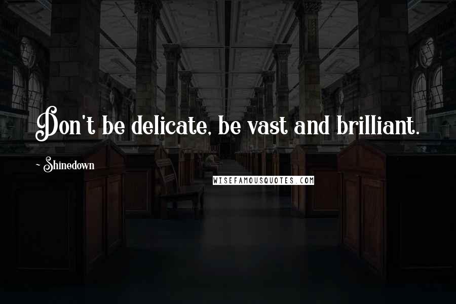 Shinedown Quotes: Don't be delicate, be vast and brilliant.