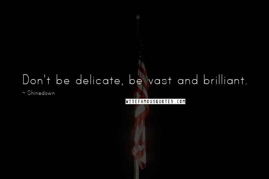 Shinedown Quotes: Don't be delicate, be vast and brilliant.