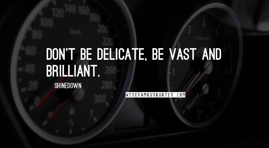 Shinedown Quotes: Don't be delicate, be vast and brilliant.