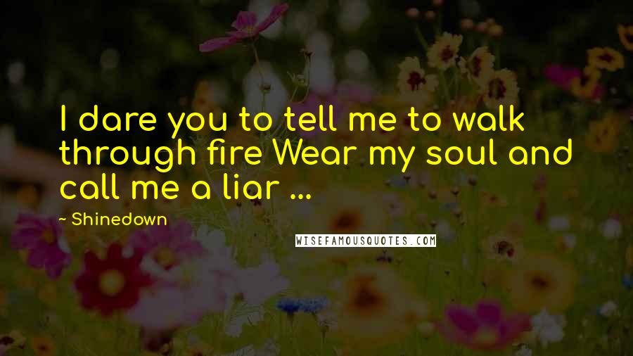 Shinedown Quotes: I dare you to tell me to walk through fire Wear my soul and call me a liar ...