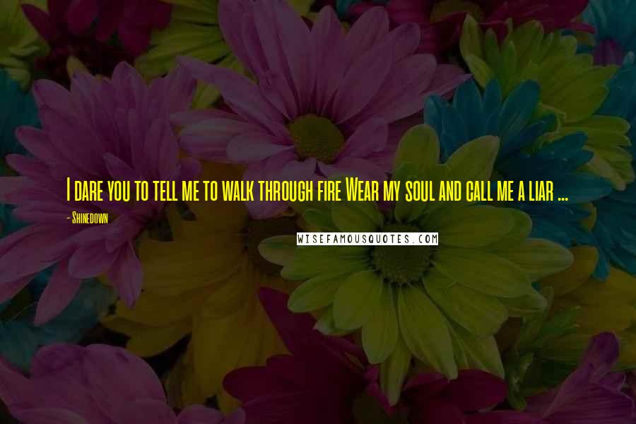 Shinedown Quotes: I dare you to tell me to walk through fire Wear my soul and call me a liar ...