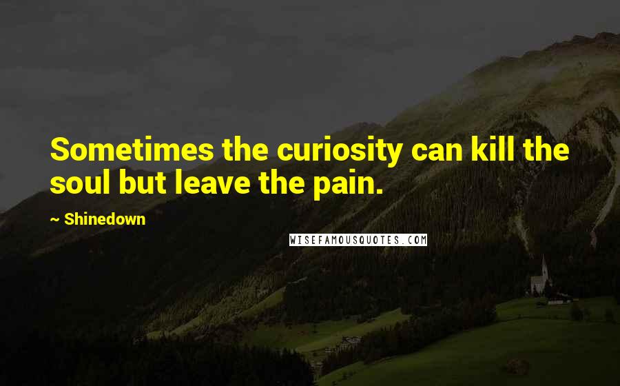 Shinedown Quotes: Sometimes the curiosity can kill the soul but leave the pain.