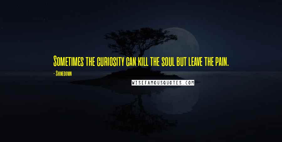 Shinedown Quotes: Sometimes the curiosity can kill the soul but leave the pain.