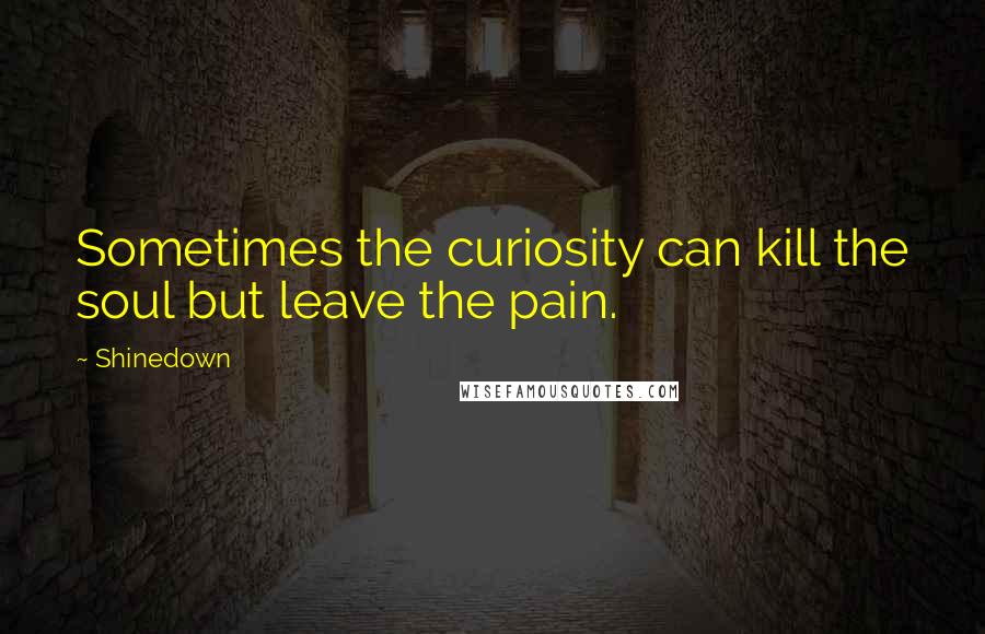 Shinedown Quotes: Sometimes the curiosity can kill the soul but leave the pain.