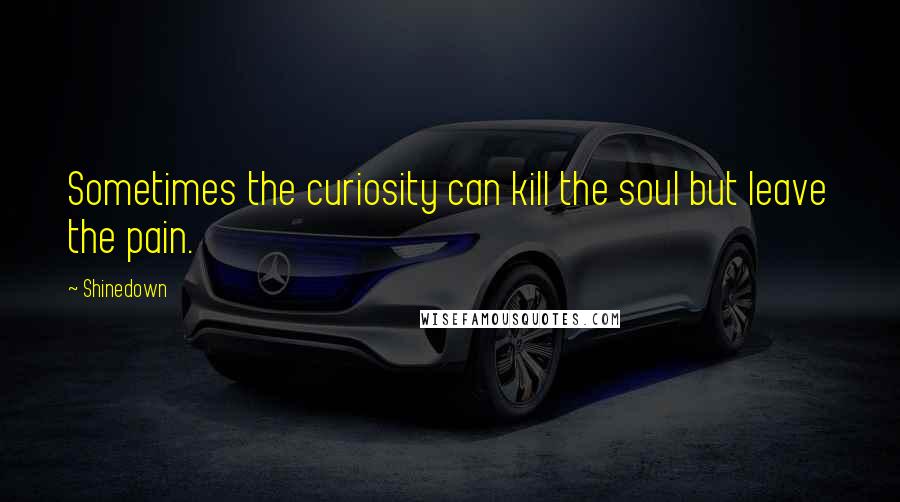 Shinedown Quotes: Sometimes the curiosity can kill the soul but leave the pain.