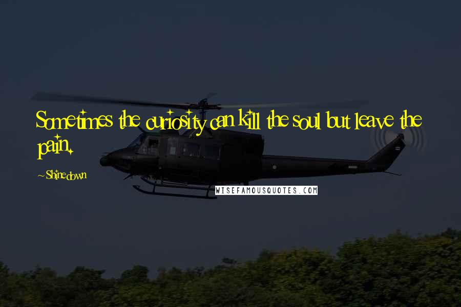 Shinedown Quotes: Sometimes the curiosity can kill the soul but leave the pain.