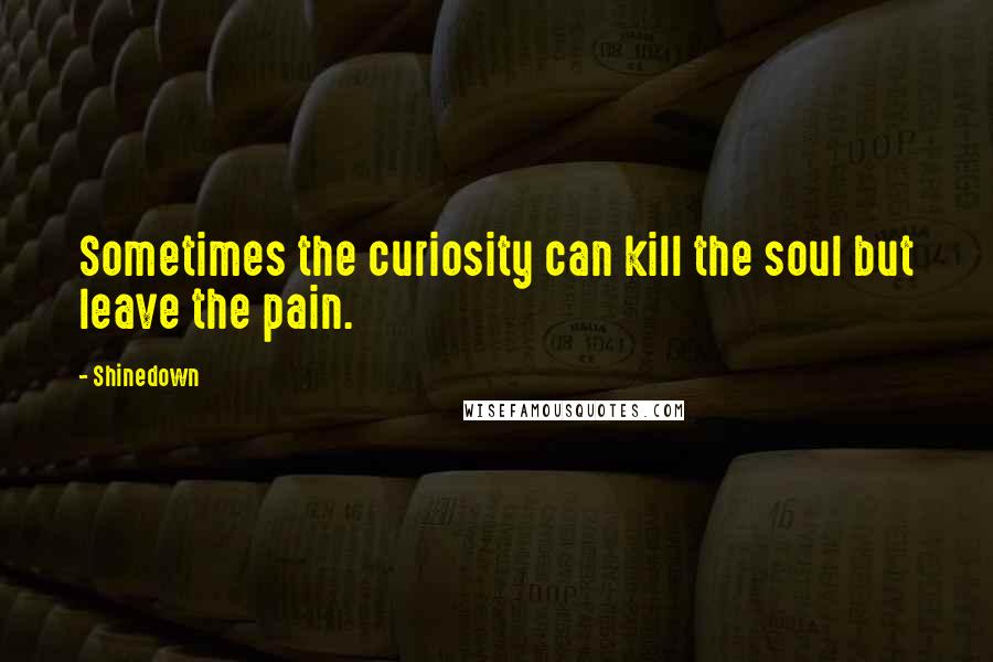 Shinedown Quotes: Sometimes the curiosity can kill the soul but leave the pain.