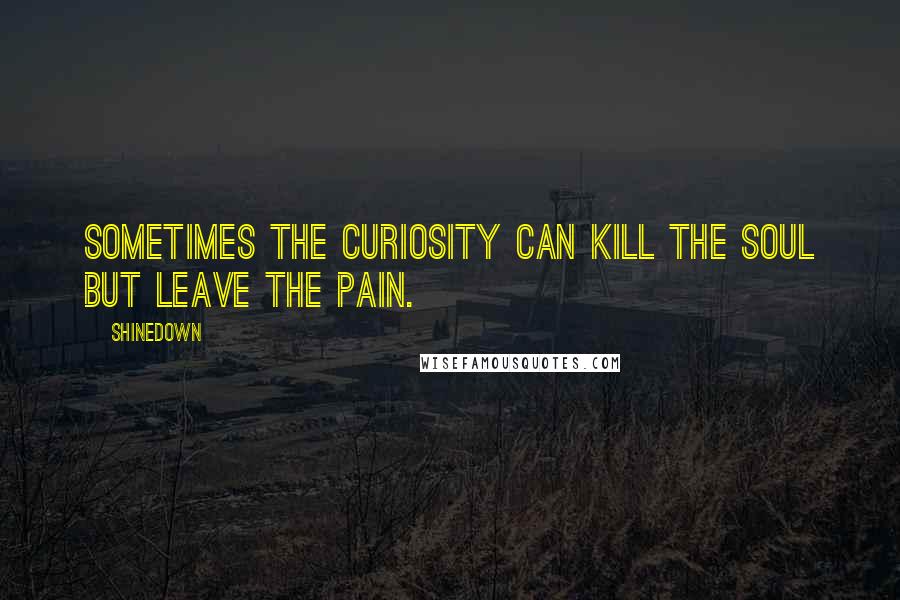 Shinedown Quotes: Sometimes the curiosity can kill the soul but leave the pain.