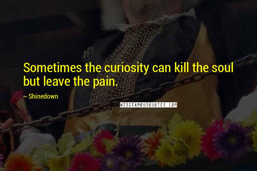 Shinedown Quotes: Sometimes the curiosity can kill the soul but leave the pain.