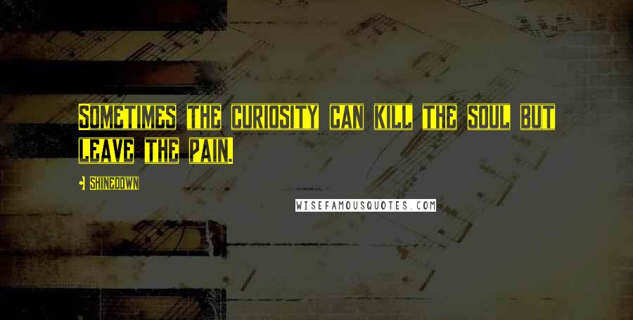 Shinedown Quotes: Sometimes the curiosity can kill the soul but leave the pain.