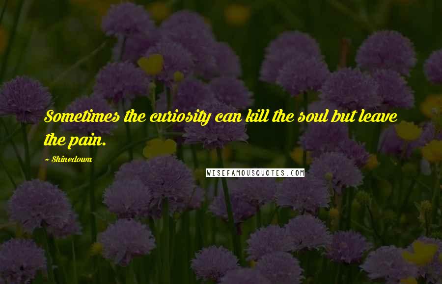 Shinedown Quotes: Sometimes the curiosity can kill the soul but leave the pain.