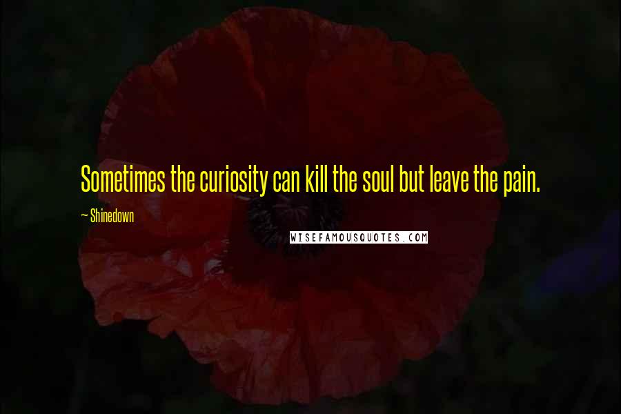 Shinedown Quotes: Sometimes the curiosity can kill the soul but leave the pain.