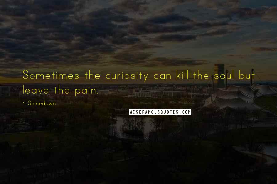 Shinedown Quotes: Sometimes the curiosity can kill the soul but leave the pain.