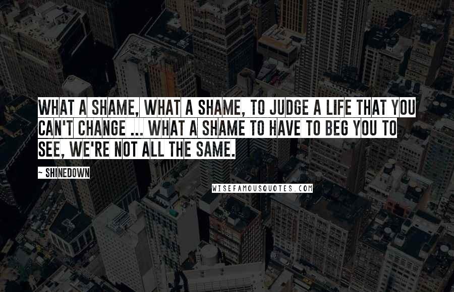 Shinedown Quotes: What a shame, what a shame, to judge a life that you can't change ... What a shame to have to beg you to see, we're not all the same.