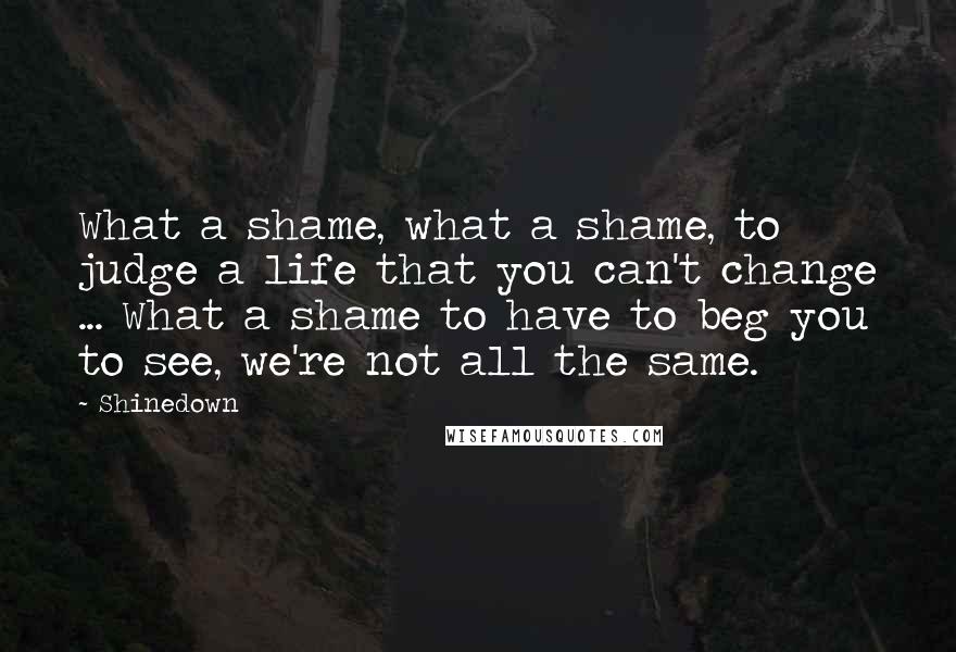 Shinedown Quotes: What a shame, what a shame, to judge a life that you can't change ... What a shame to have to beg you to see, we're not all the same.