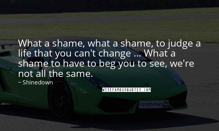 Shinedown Quotes: What a shame, what a shame, to judge a life that you can't change ... What a shame to have to beg you to see, we're not all the same.