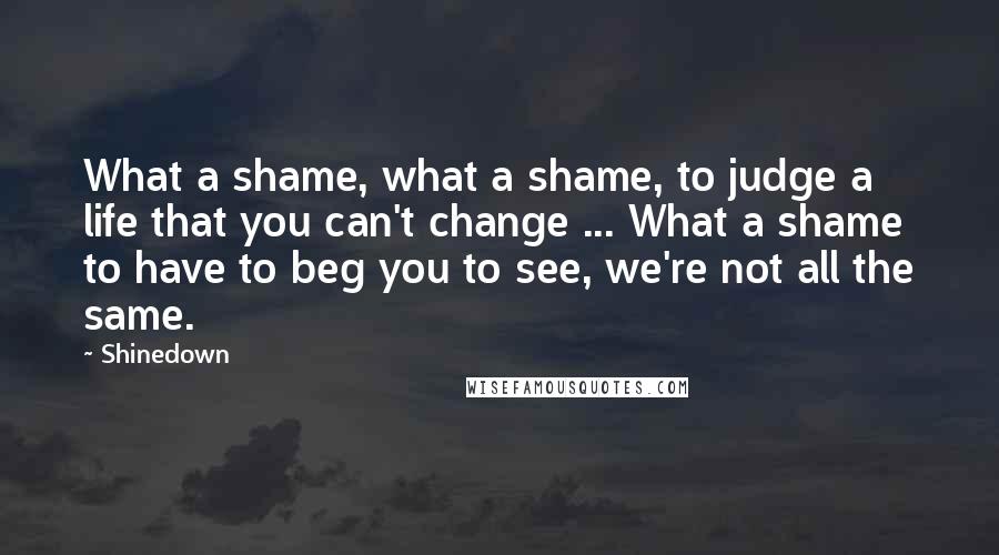 Shinedown Quotes: What a shame, what a shame, to judge a life that you can't change ... What a shame to have to beg you to see, we're not all the same.