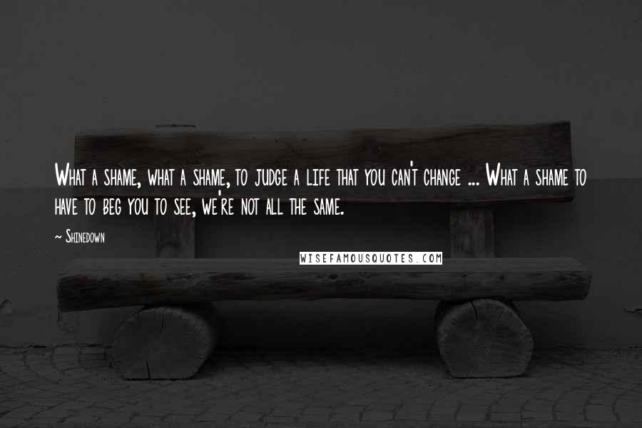 Shinedown Quotes: What a shame, what a shame, to judge a life that you can't change ... What a shame to have to beg you to see, we're not all the same.