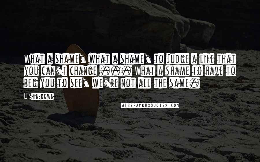 Shinedown Quotes: What a shame, what a shame, to judge a life that you can't change ... What a shame to have to beg you to see, we're not all the same.