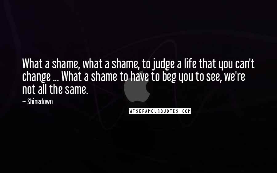 Shinedown Quotes: What a shame, what a shame, to judge a life that you can't change ... What a shame to have to beg you to see, we're not all the same.