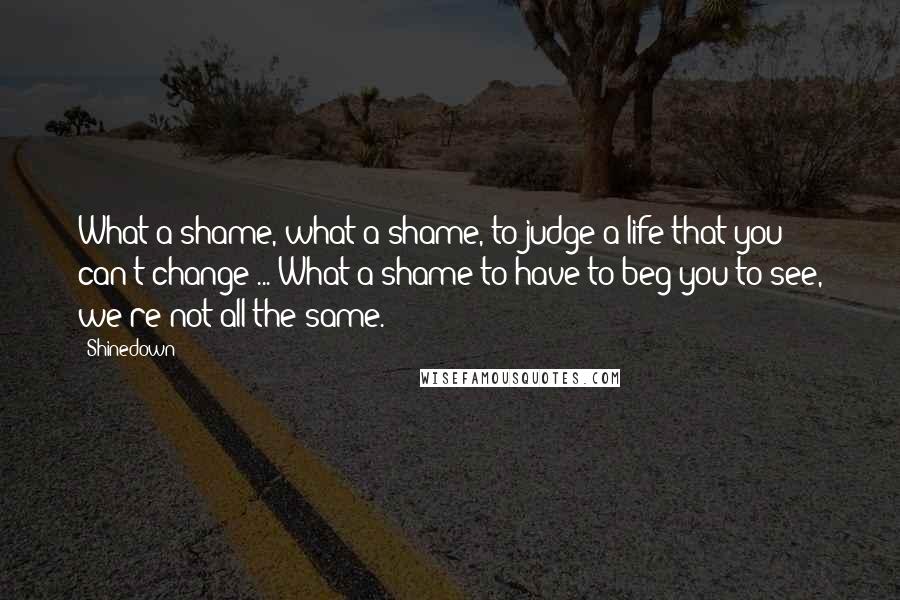 Shinedown Quotes: What a shame, what a shame, to judge a life that you can't change ... What a shame to have to beg you to see, we're not all the same.