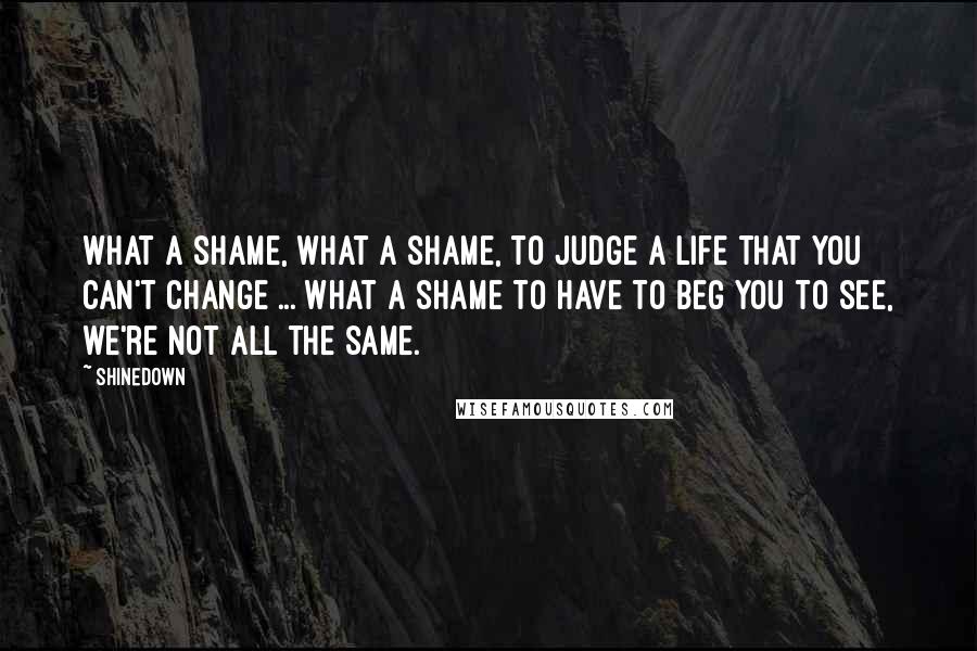 Shinedown Quotes: What a shame, what a shame, to judge a life that you can't change ... What a shame to have to beg you to see, we're not all the same.