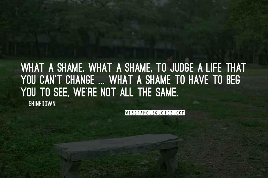 Shinedown Quotes: What a shame, what a shame, to judge a life that you can't change ... What a shame to have to beg you to see, we're not all the same.