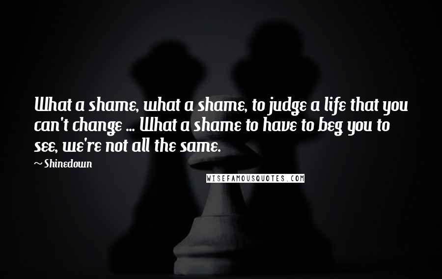 Shinedown Quotes: What a shame, what a shame, to judge a life that you can't change ... What a shame to have to beg you to see, we're not all the same.