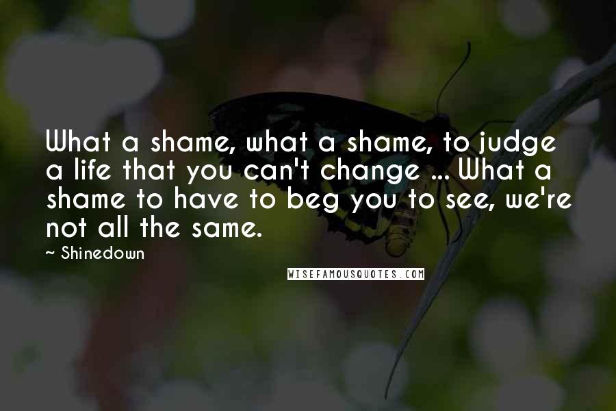 Shinedown Quotes: What a shame, what a shame, to judge a life that you can't change ... What a shame to have to beg you to see, we're not all the same.