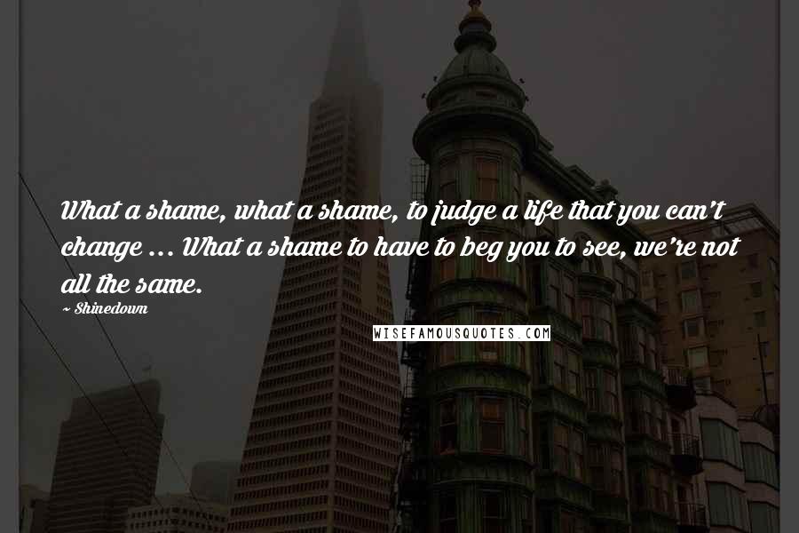 Shinedown Quotes: What a shame, what a shame, to judge a life that you can't change ... What a shame to have to beg you to see, we're not all the same.