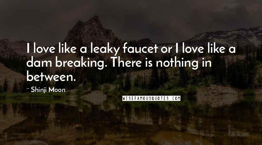 Shinji Moon Quotes: I love like a leaky faucet or I love like a dam breaking. There is nothing in between.