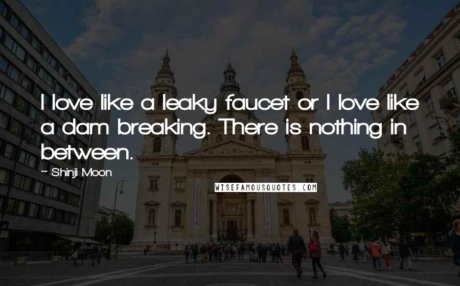 Shinji Moon Quotes: I love like a leaky faucet or I love like a dam breaking. There is nothing in between.