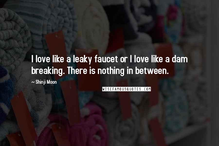 Shinji Moon Quotes: I love like a leaky faucet or I love like a dam breaking. There is nothing in between.