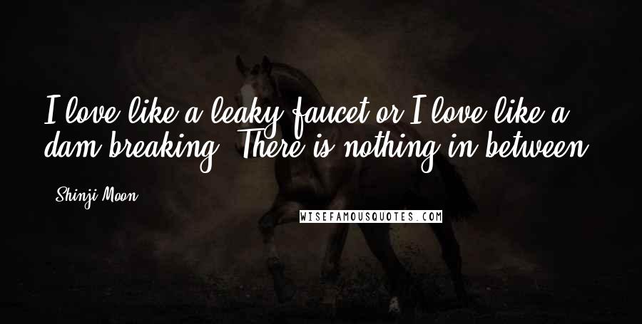 Shinji Moon Quotes: I love like a leaky faucet or I love like a dam breaking. There is nothing in between.