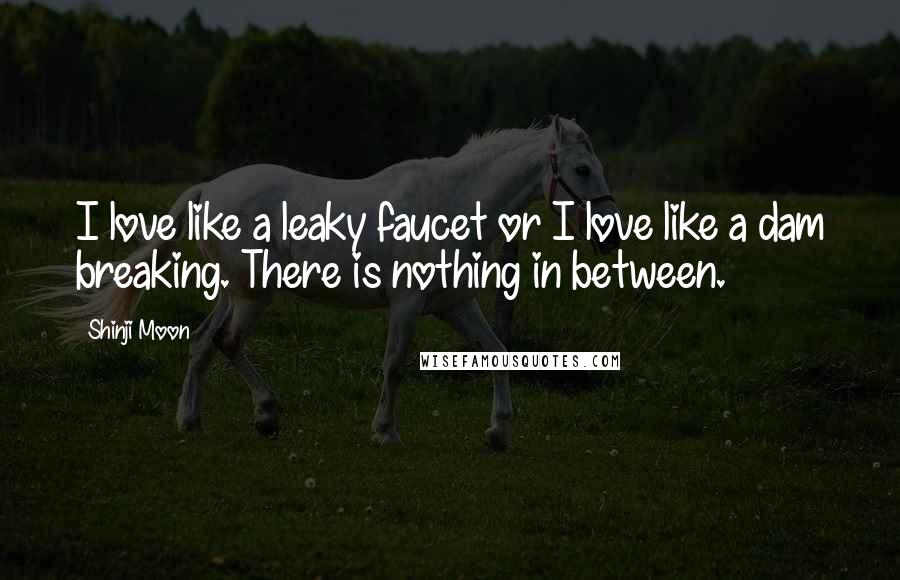 Shinji Moon Quotes: I love like a leaky faucet or I love like a dam breaking. There is nothing in between.