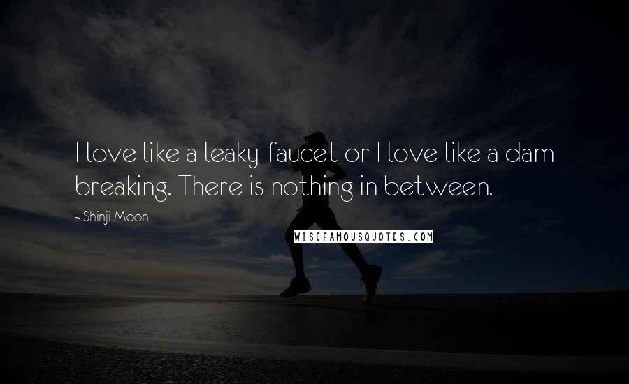 Shinji Moon Quotes: I love like a leaky faucet or I love like a dam breaking. There is nothing in between.
