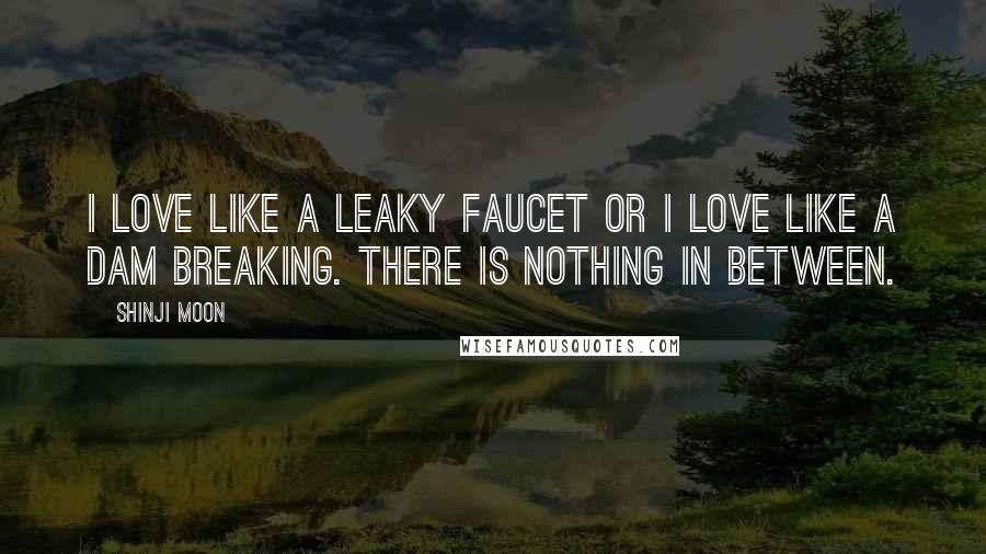 Shinji Moon Quotes: I love like a leaky faucet or I love like a dam breaking. There is nothing in between.