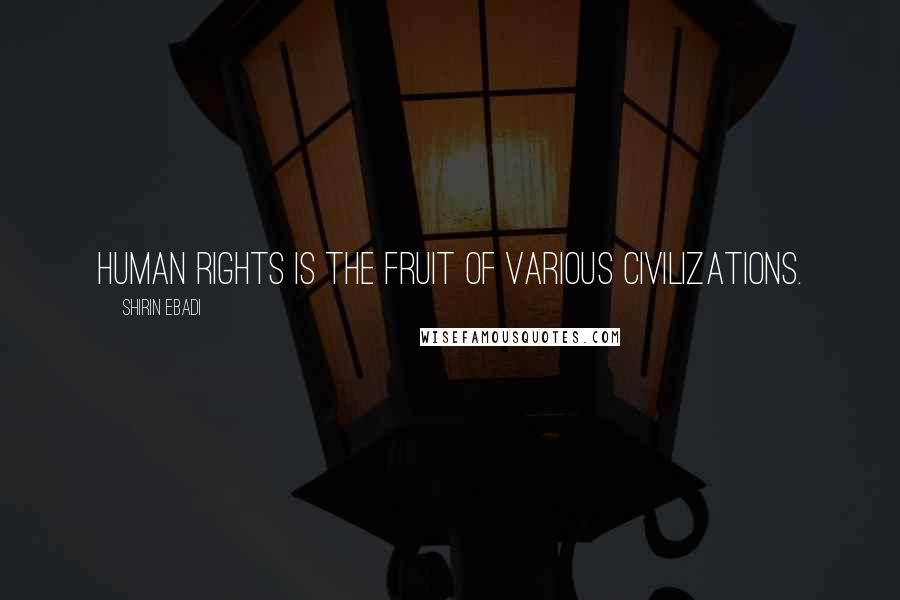 Shirin Ebadi Quotes: Human rights is the fruit of various civilizations.