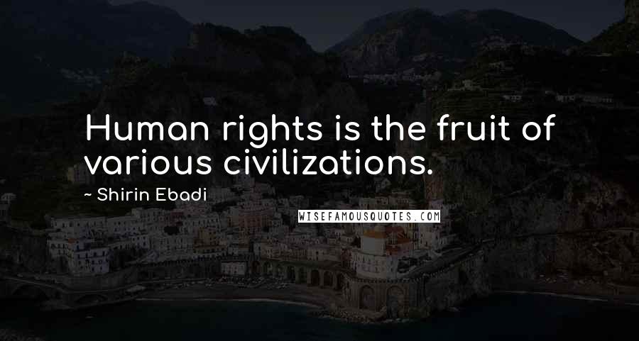 Shirin Ebadi Quotes: Human rights is the fruit of various civilizations.