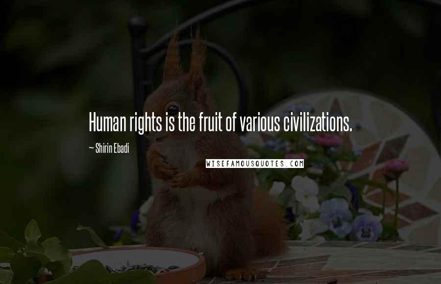 Shirin Ebadi Quotes: Human rights is the fruit of various civilizations.