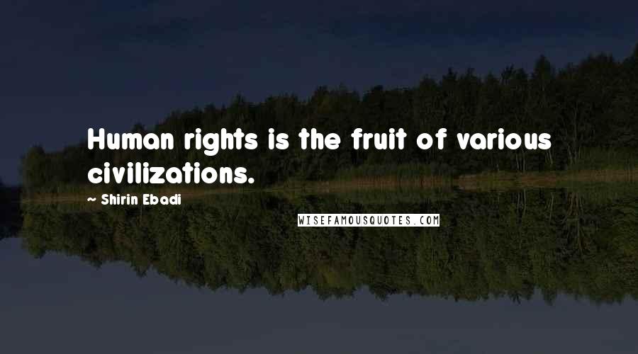 Shirin Ebadi Quotes: Human rights is the fruit of various civilizations.