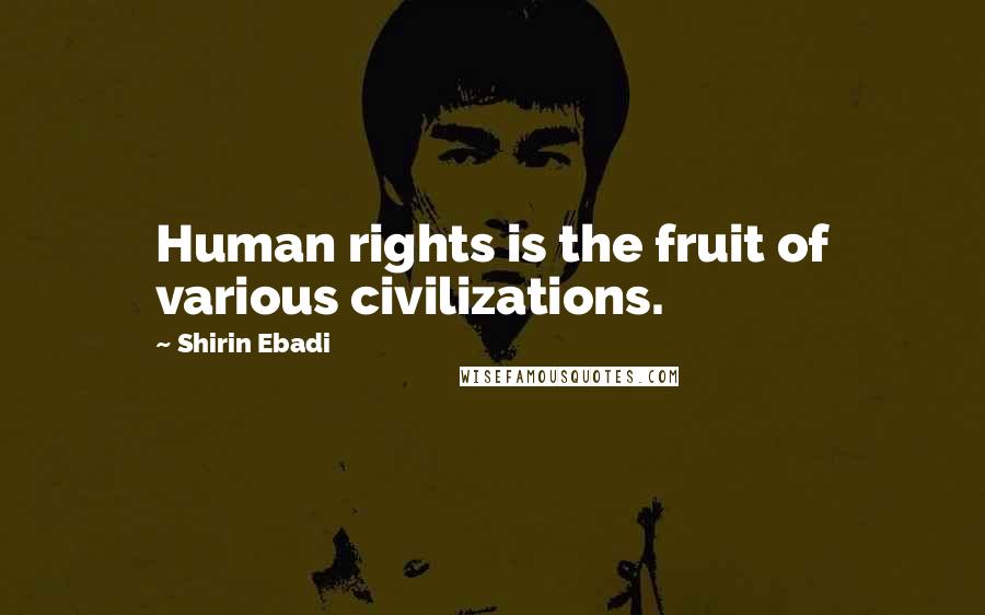 Shirin Ebadi Quotes: Human rights is the fruit of various civilizations.