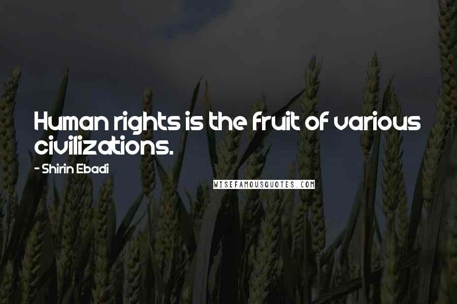 Shirin Ebadi Quotes: Human rights is the fruit of various civilizations.