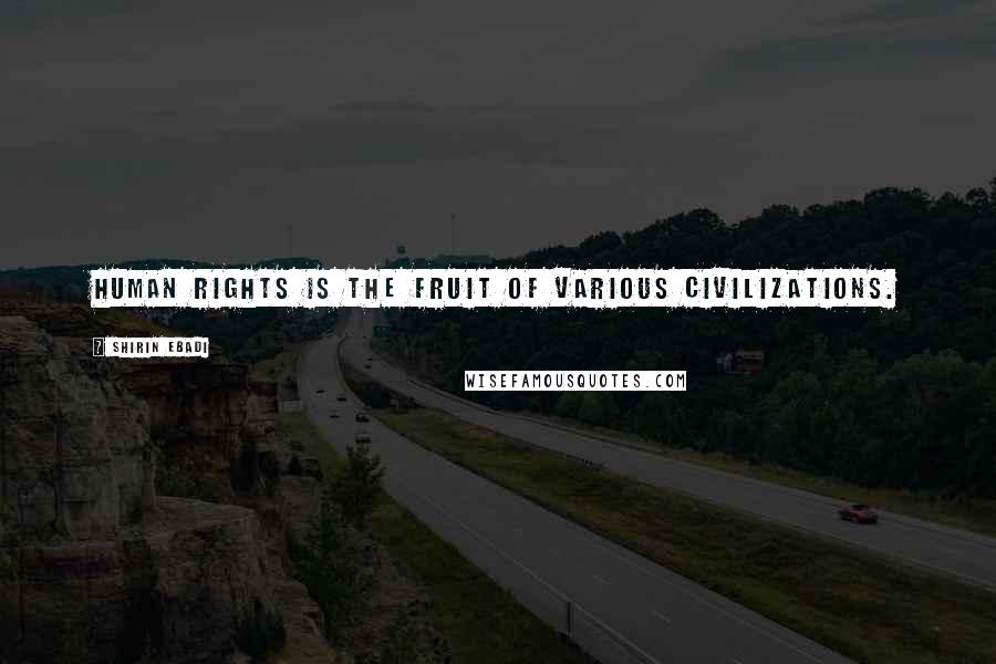 Shirin Ebadi Quotes: Human rights is the fruit of various civilizations.
