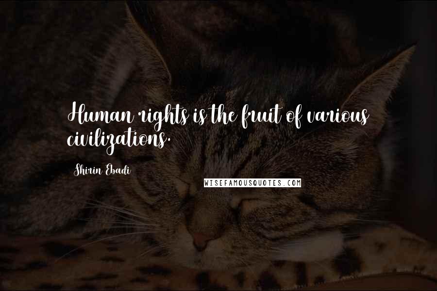 Shirin Ebadi Quotes: Human rights is the fruit of various civilizations.