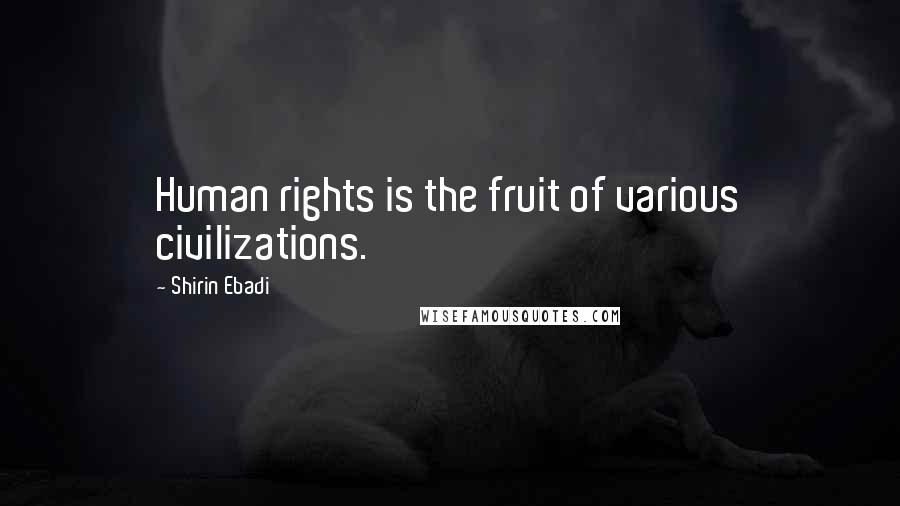 Shirin Ebadi Quotes: Human rights is the fruit of various civilizations.